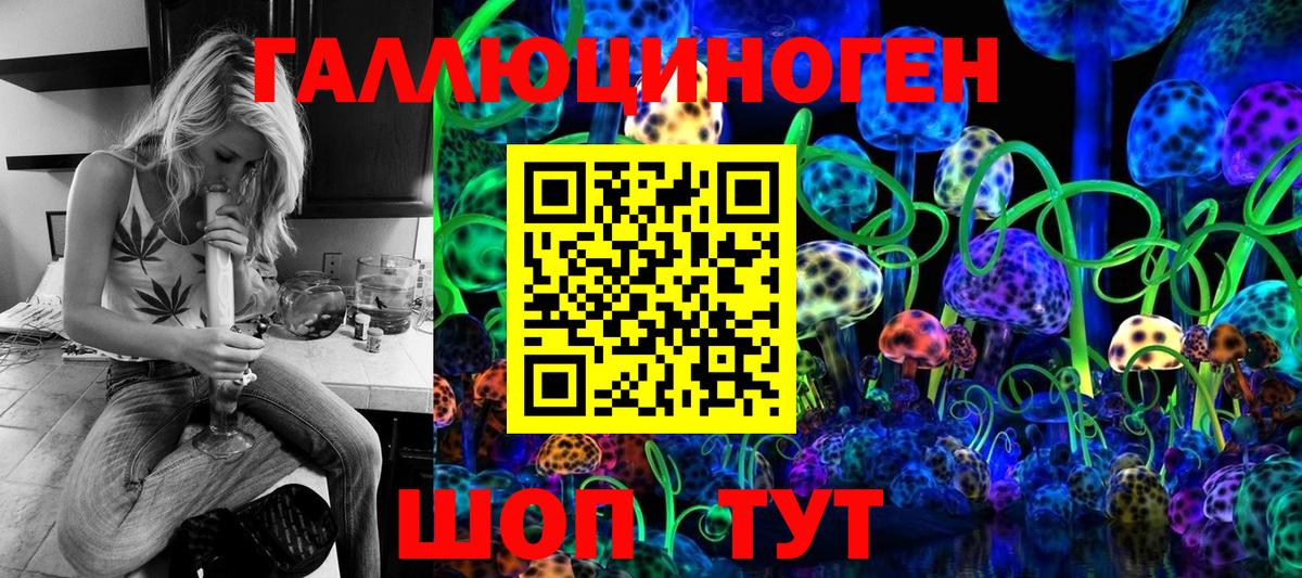купить   Вход с VPN  Можга  Псилоцибиновые грибы GOLDEN TEACHER 
