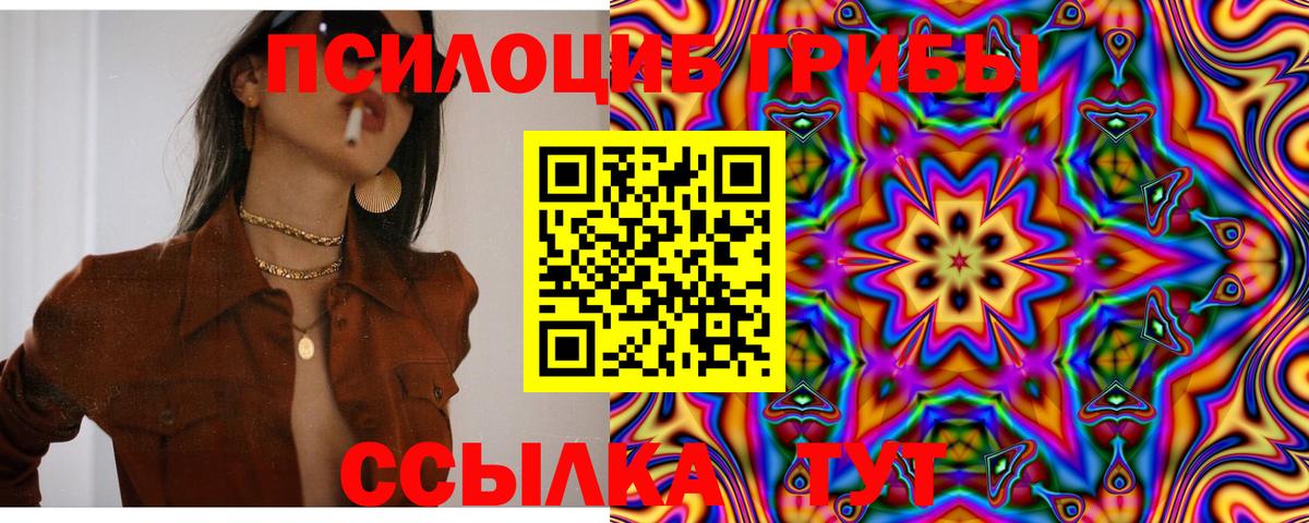 Галлюциногенные грибы Cubensis Можга